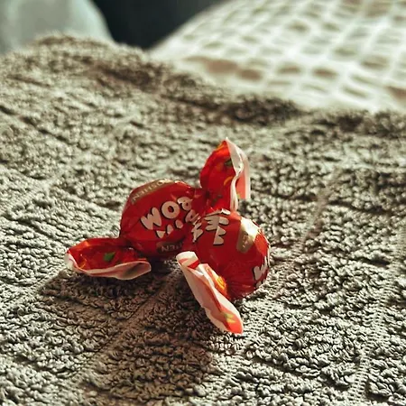 Apartamento Neo - Trei - Cosy *