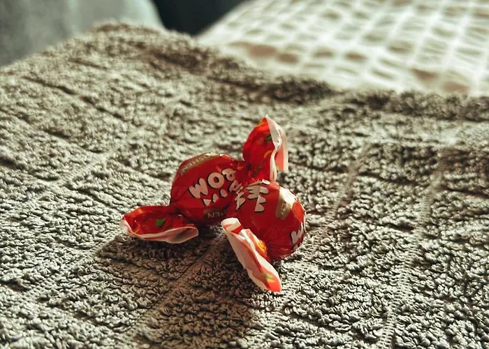 Lejlighed Neo - Trei - Cosy *